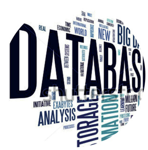 Data and Database Forensics